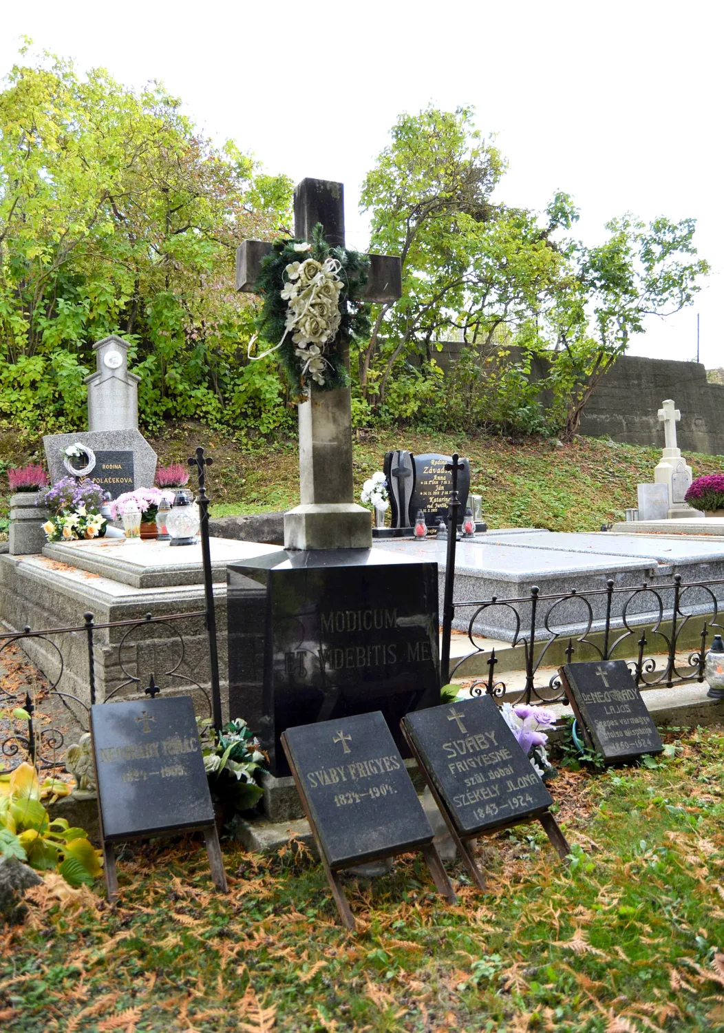 Master file0000060862