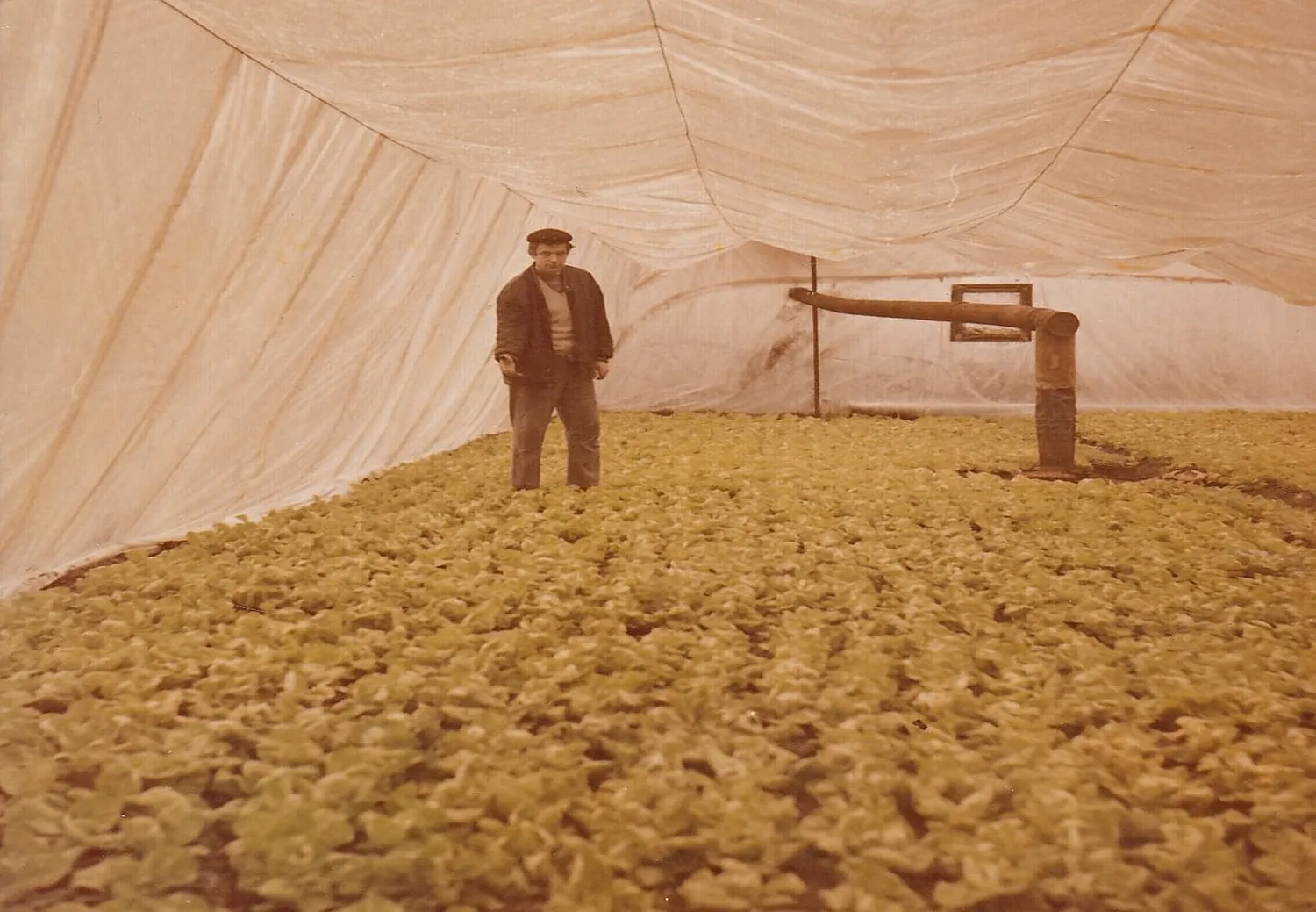 Master file0000057611