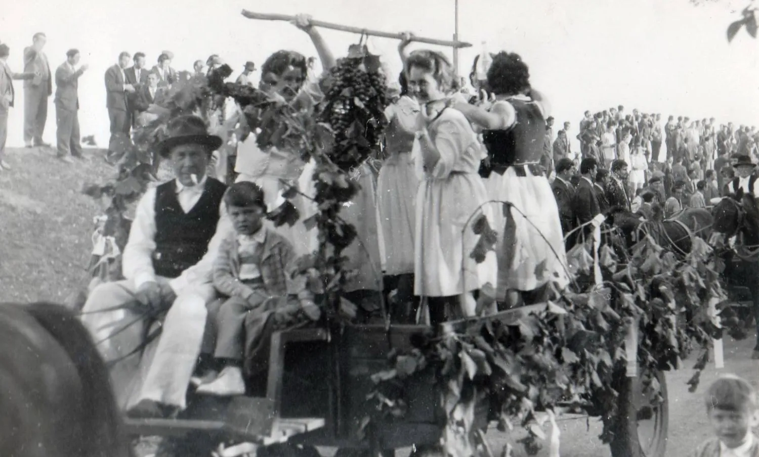 Master file0000056729