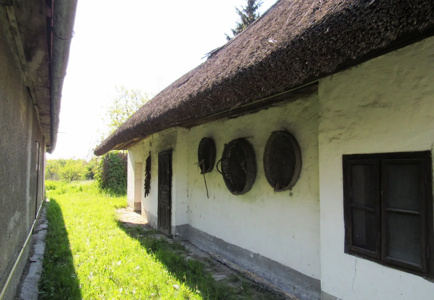 Master file0000038905