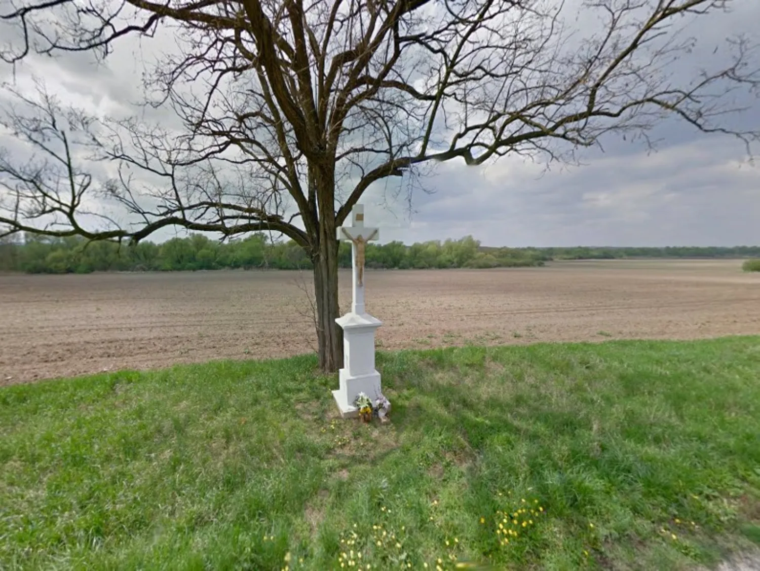 Master file0000070690