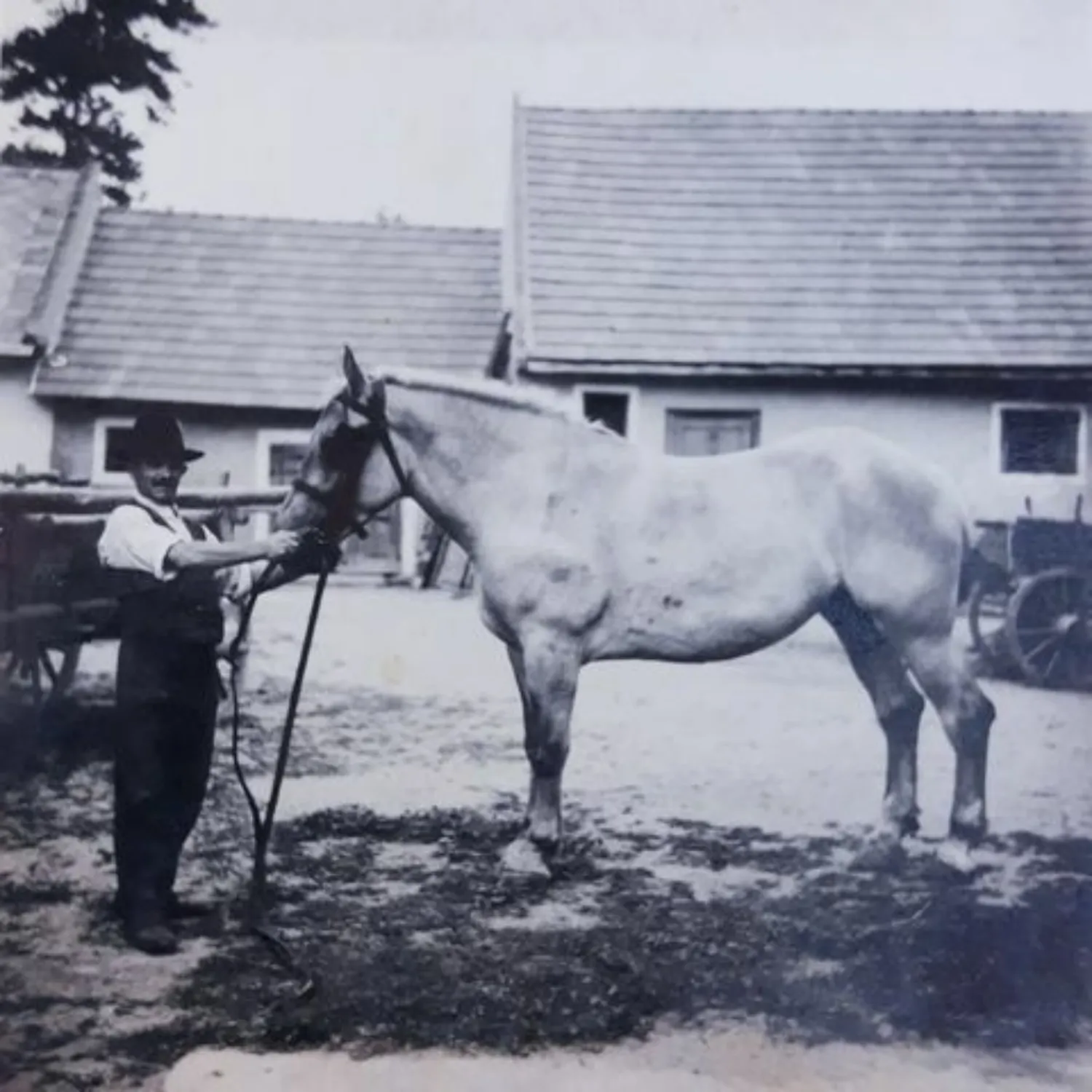 Master file0000080845