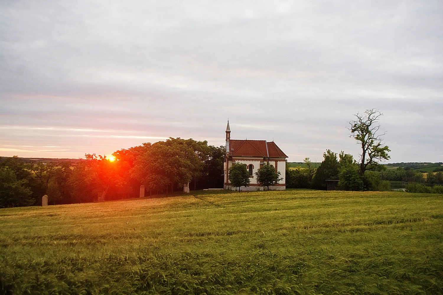 Master file0000060273