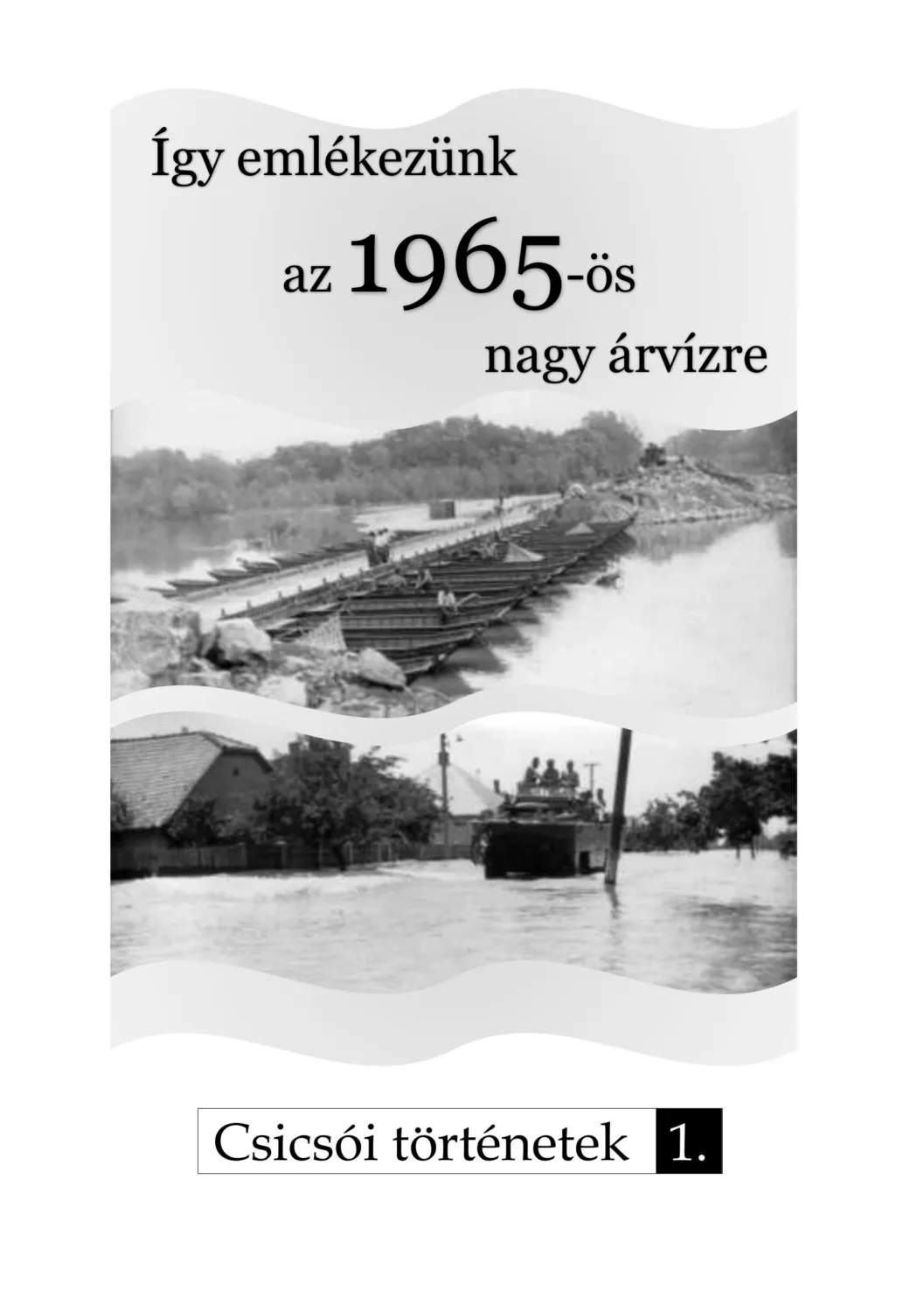 master_file0000080665-cover