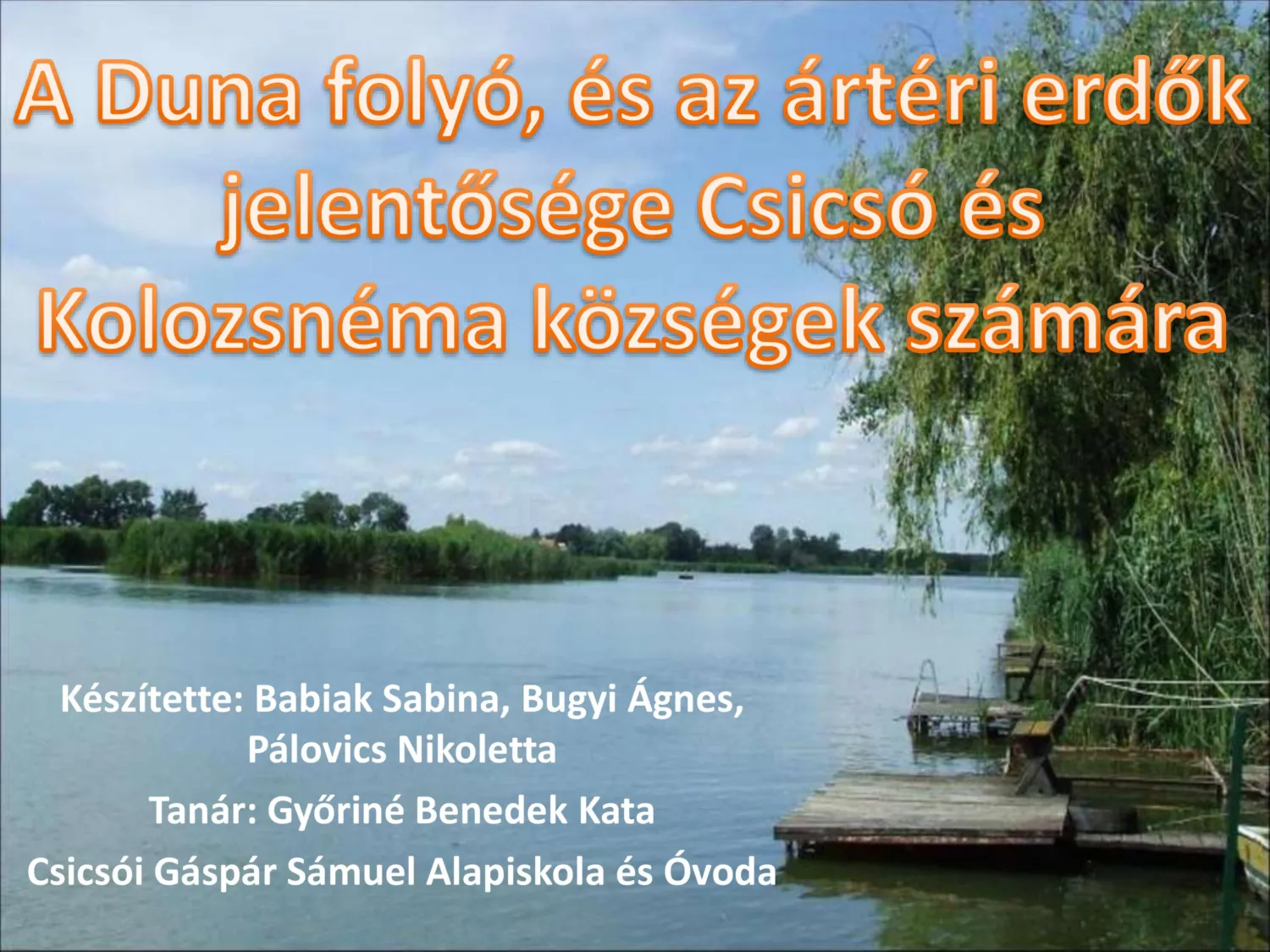 master_file0000081648-cover