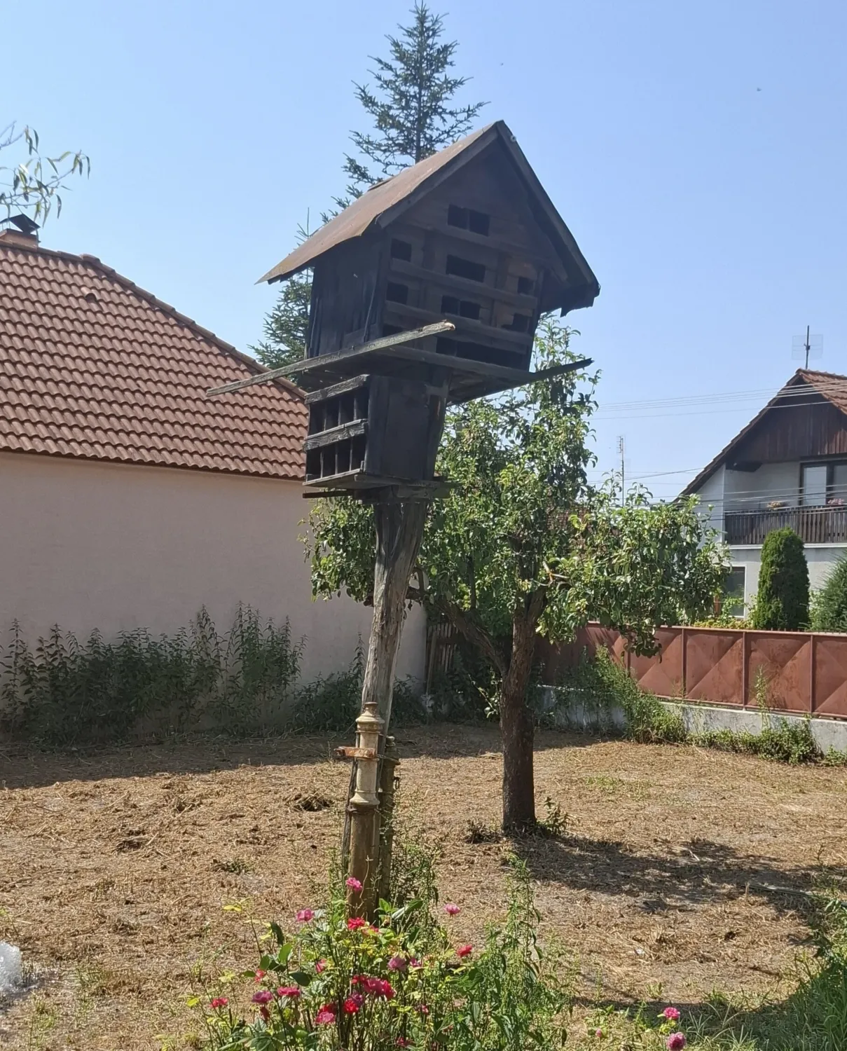 Galamdúc Csicsó 20250816 141230