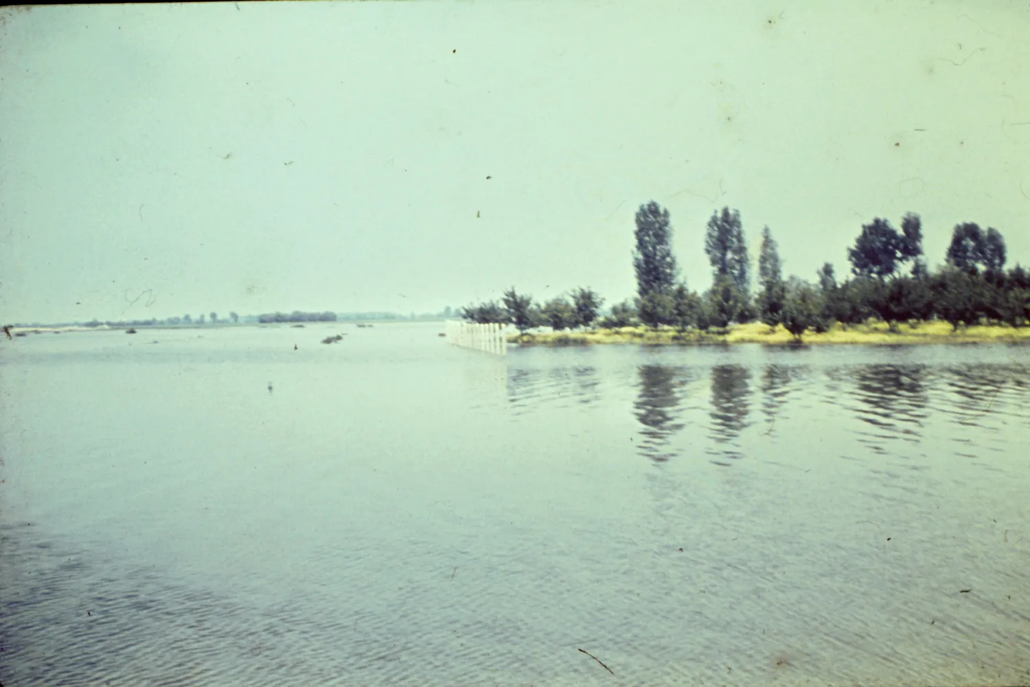 33 Balony arvíz 2015 03 21 36