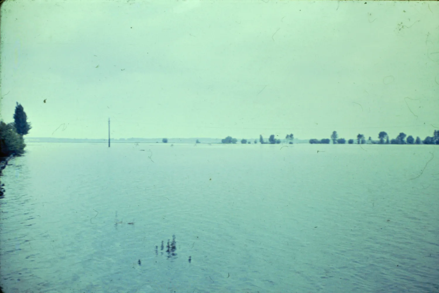 40 Balony arvíz 2015 03 21 44