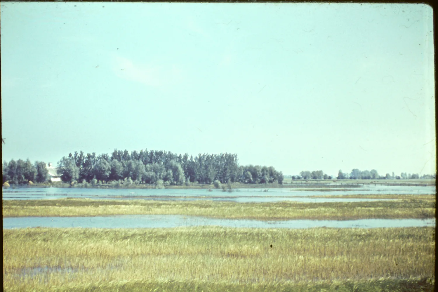 45 Balony arvíz 2015 03 21 51