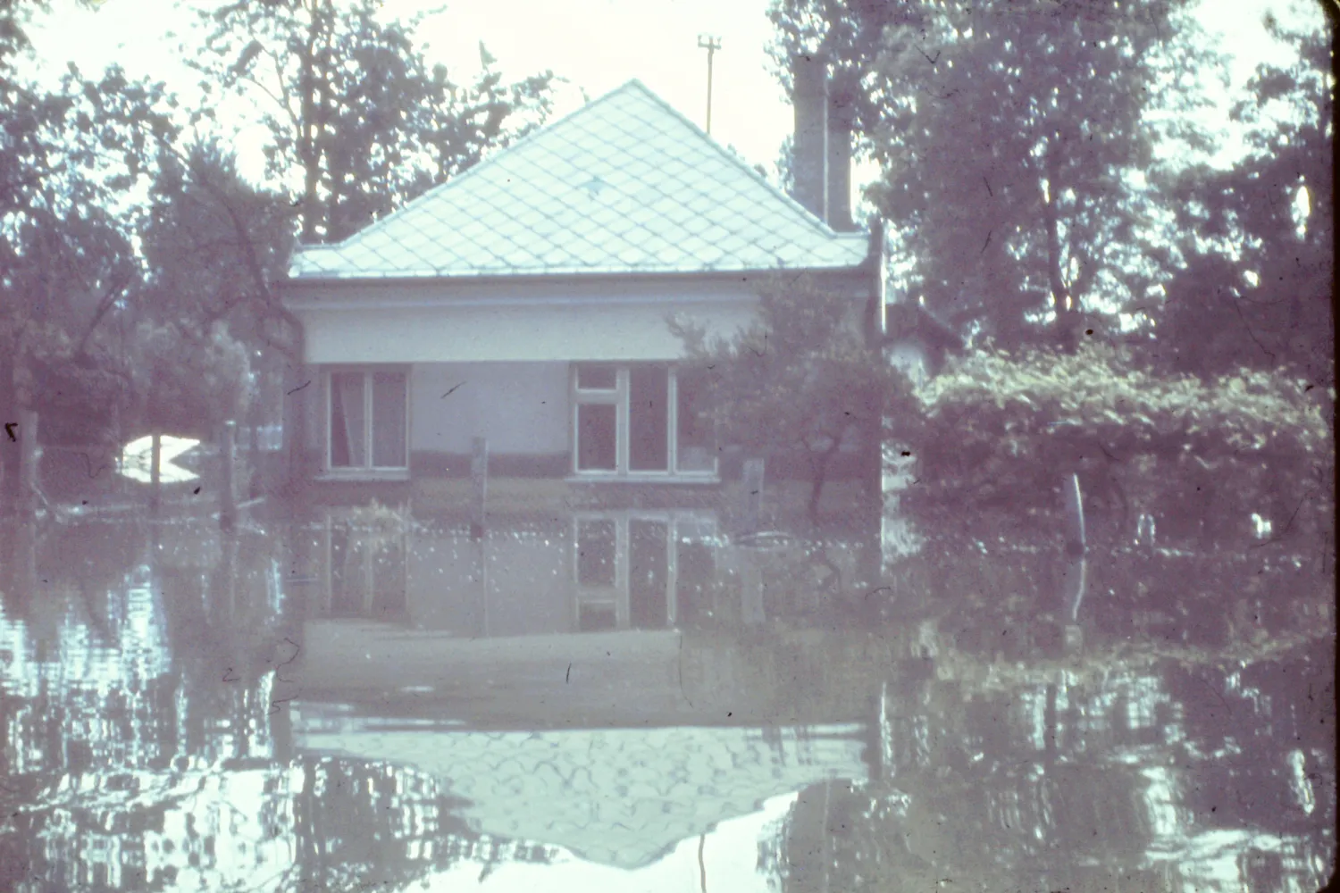 54 Balony arvíz 2015 03 21 60