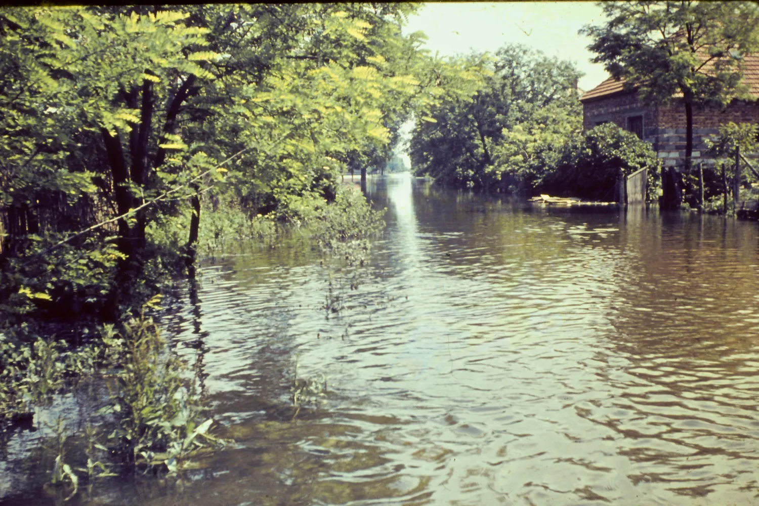 57 Balony arvíz 2015 03 21 63