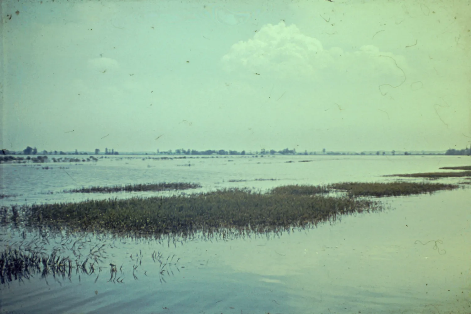 65 Balony arvíz 2015 03 21 73