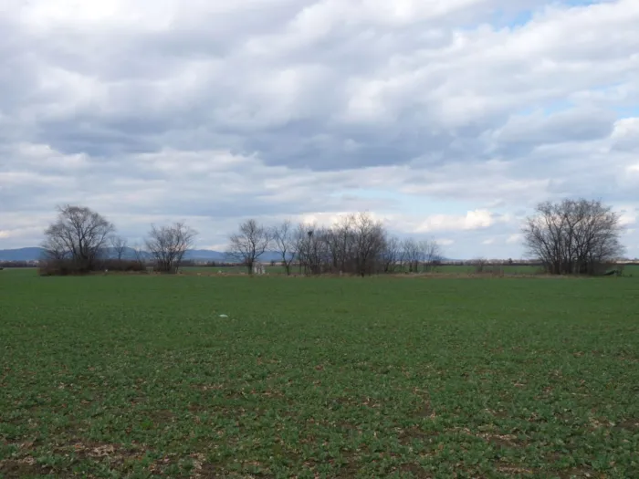 Master file0000077758