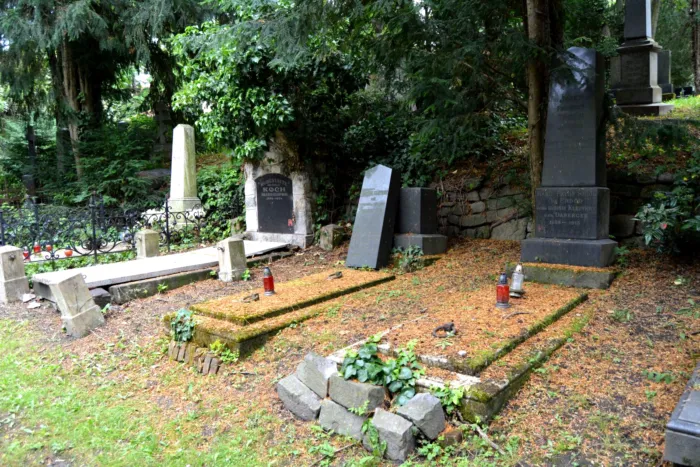 Master file0000078817