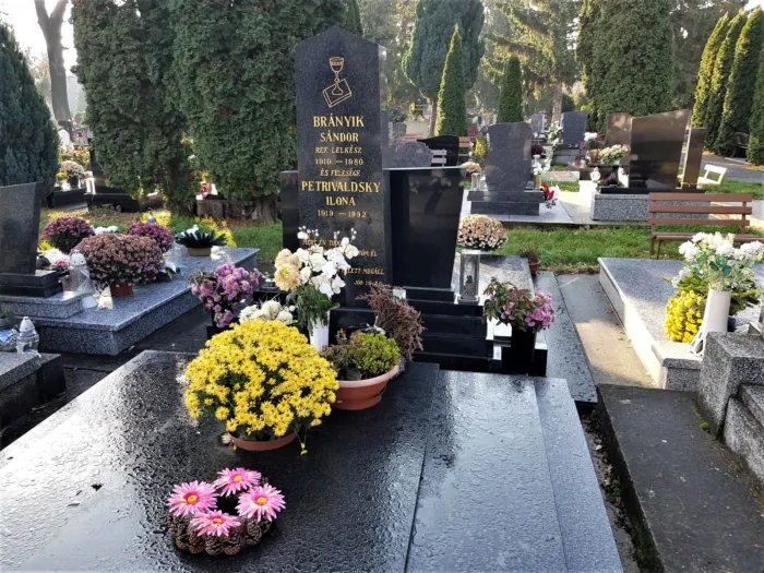 Master file0000062198