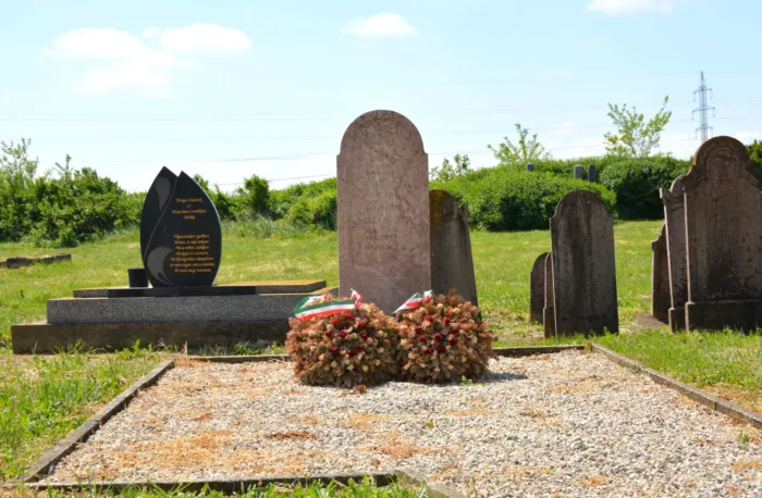 Master file0000075658