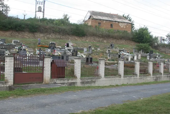 Master file0000070915