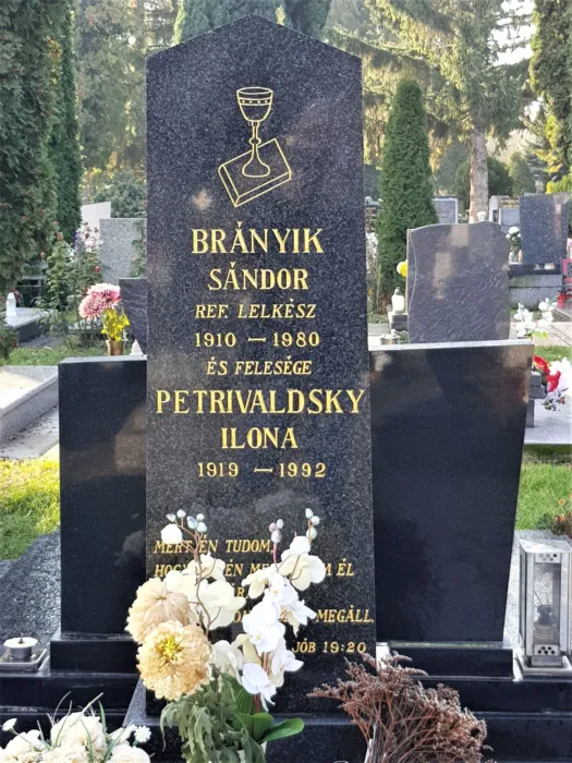 Master file0000079585