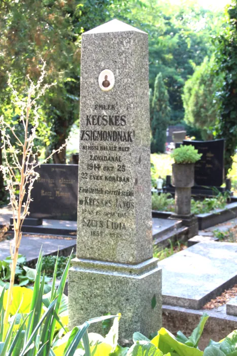 Master file0000076743