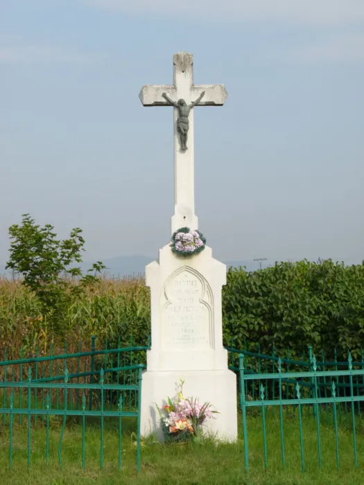 Master file0000068875