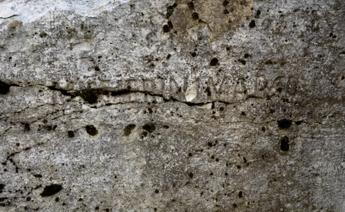 Master file0000065690