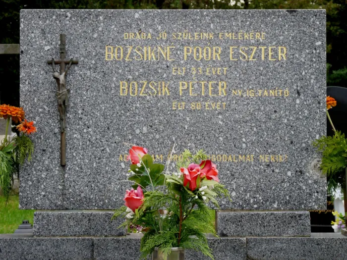 Master file0000075817