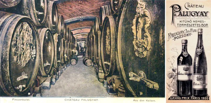 Master file0000078997