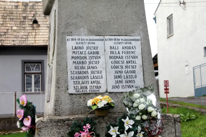 Master file0000073872