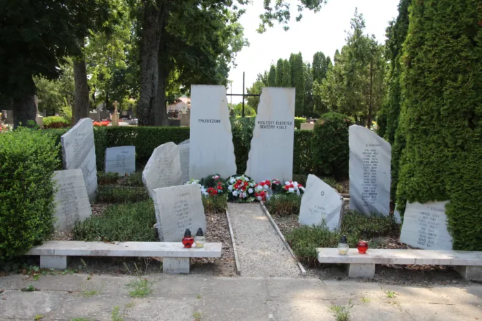 Master file0000079712