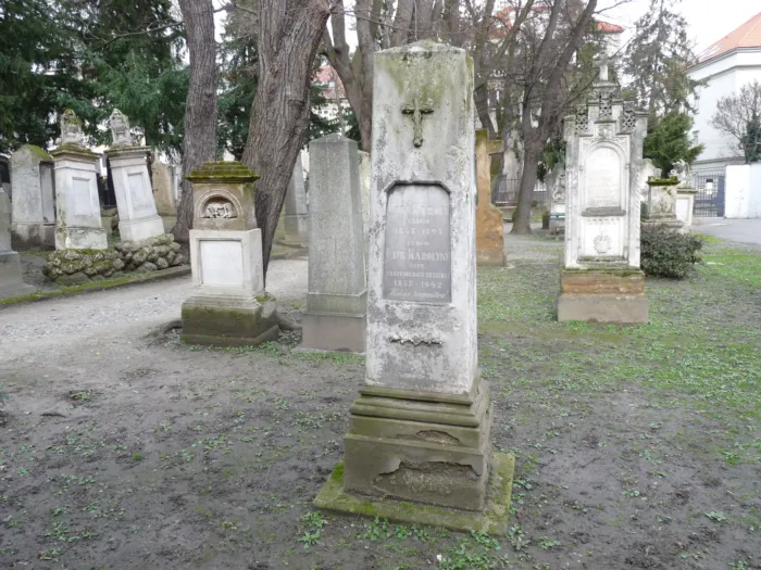 Master file0000068872