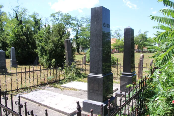 Master file0000076660