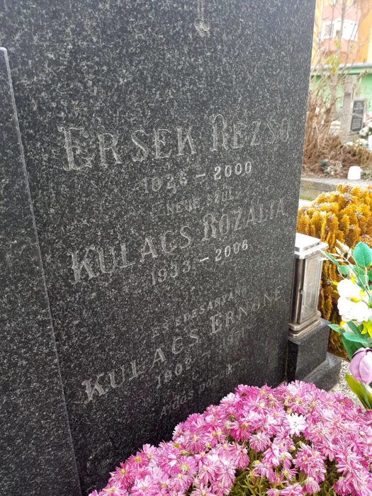 Master file0000063623