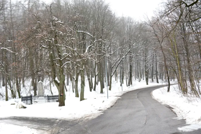 Master file0000058968