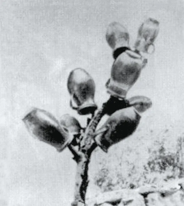 Master file0000039018