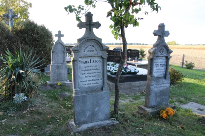 Master file0000069779