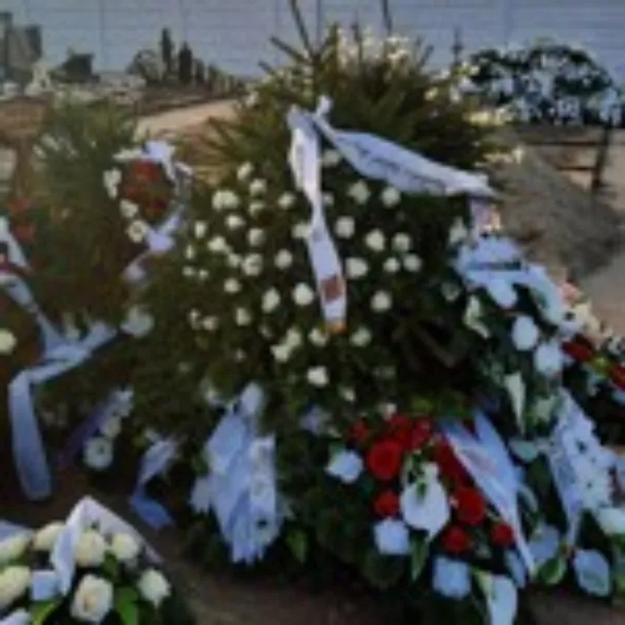 Master file0000053794