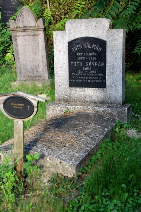 Master file0000075368