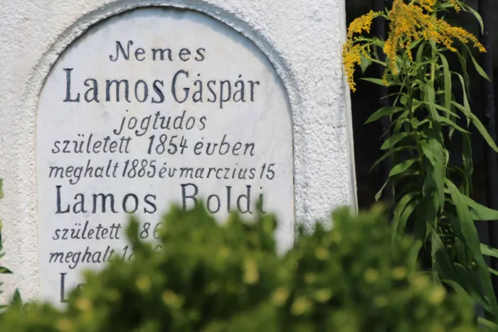 Master file0000078974