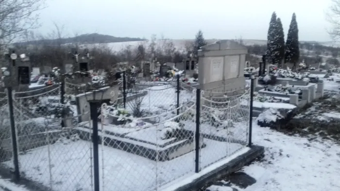 Master file0000065673