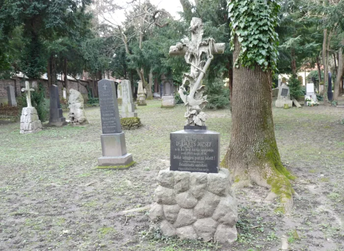 Master file0000062219