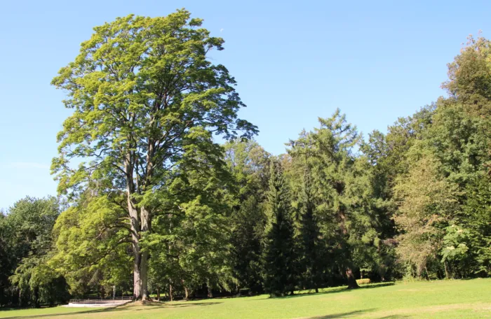 Master file0000075618