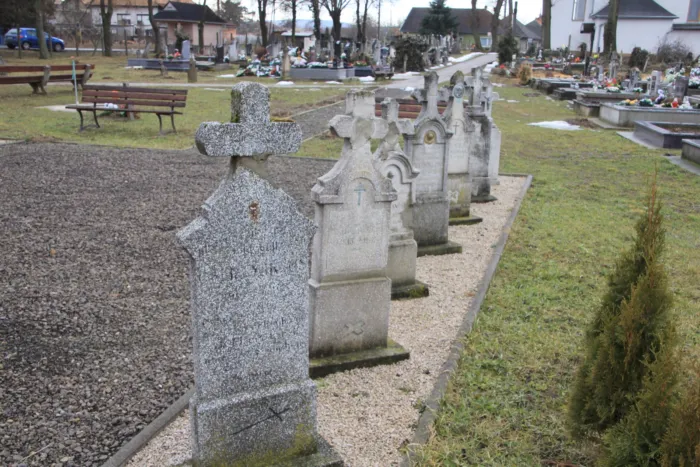 Master file0000079109