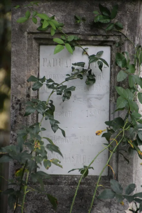 Master file0000071185