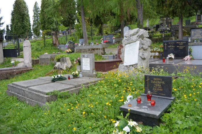 Master file0000076007