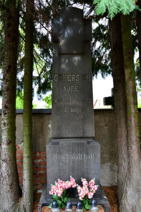 Master file0000078092