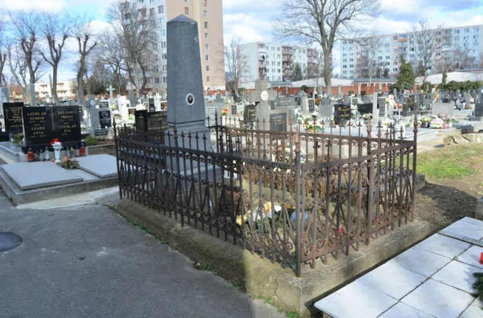 Master file0000071244