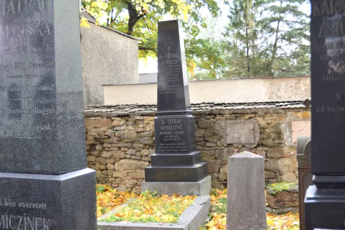 Master file0000078382