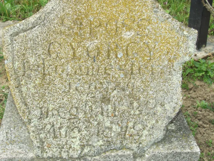 Master file0000078886