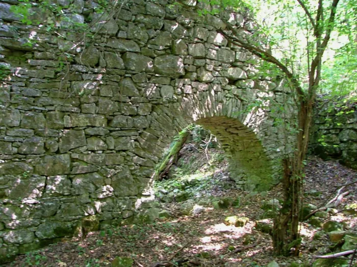 Master file0000038857