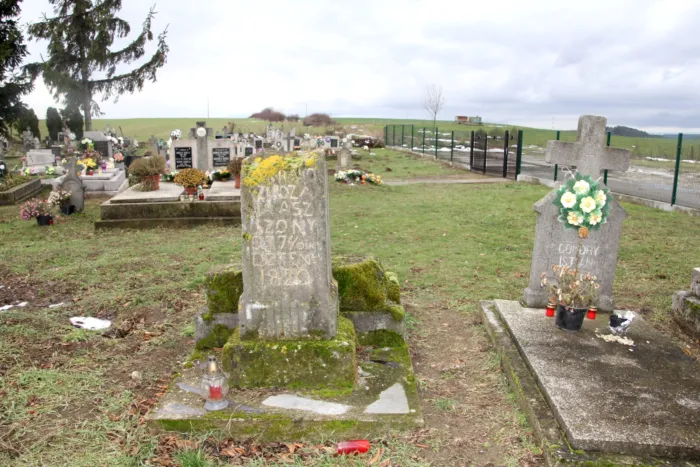 Master file0000066761